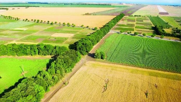 Kompensimi fizik i pronave, përfundojnë 161 dosje me vlerë 137 milionë lekë (lista)